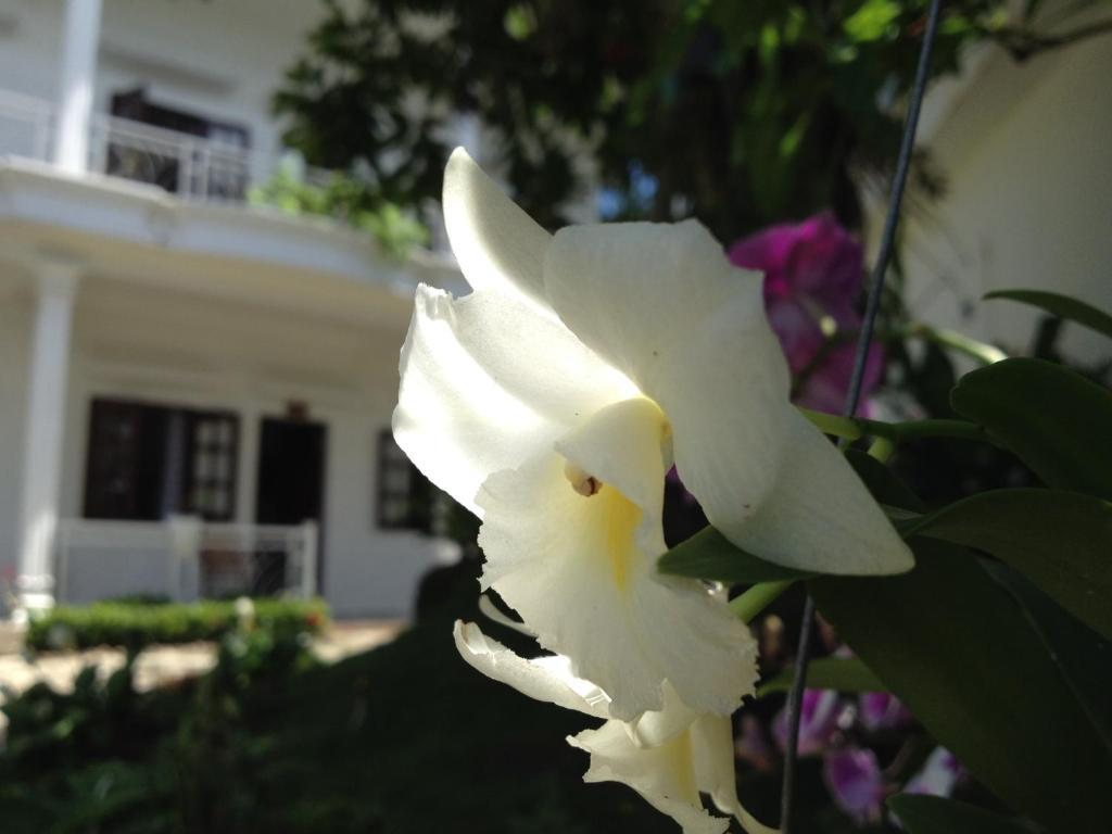 Suncosy Central Hotel ฟู้โกว๊ก ภายนอก รูปภาพ