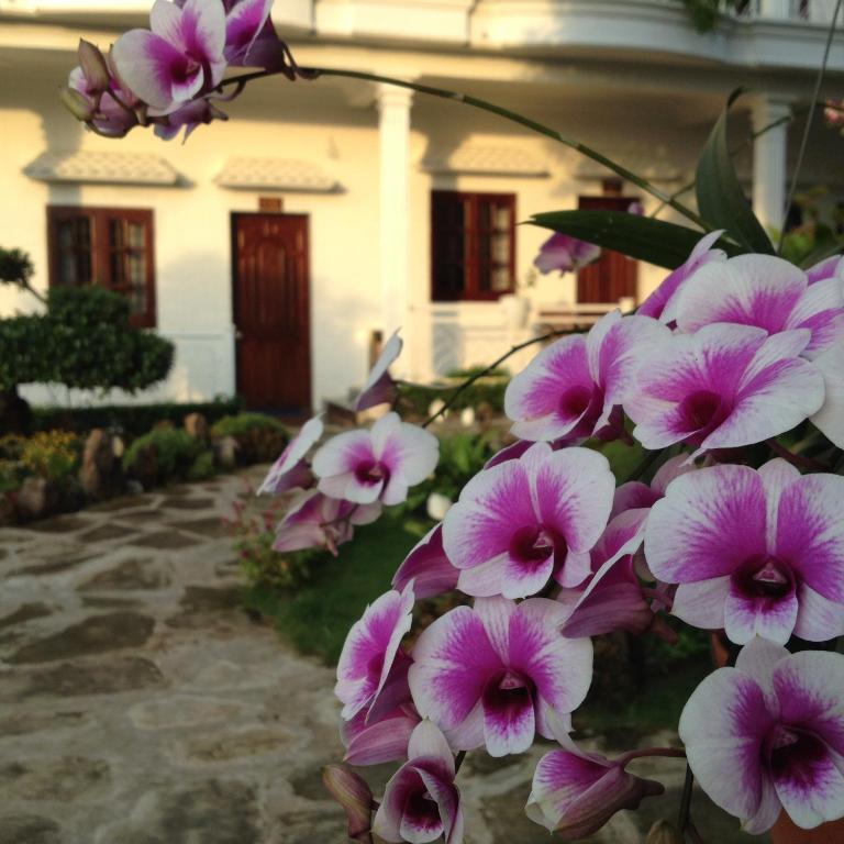 Suncosy Central Hotel ฟู้โกว๊ก ภายนอก รูปภาพ